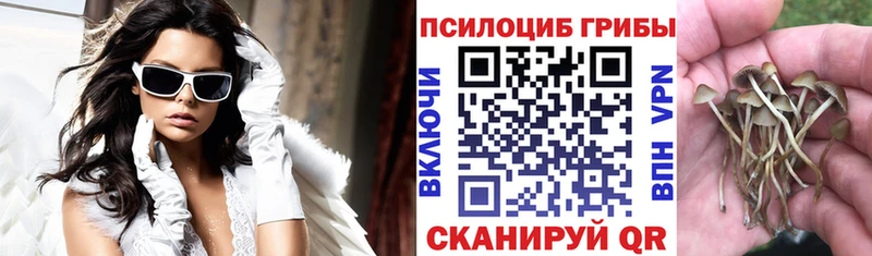 Псилоцибиновые грибы мухоморы Александровское